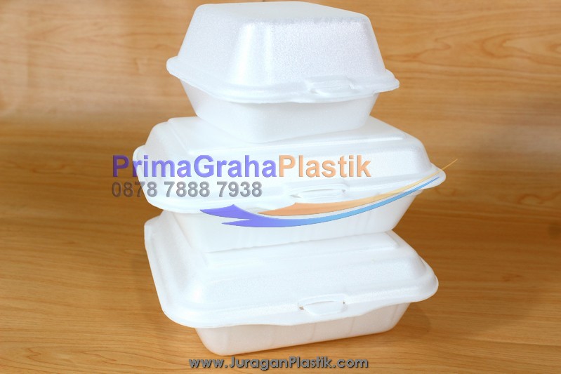 Detail Harga Styrofoam Makanan Kecil Nomer 16