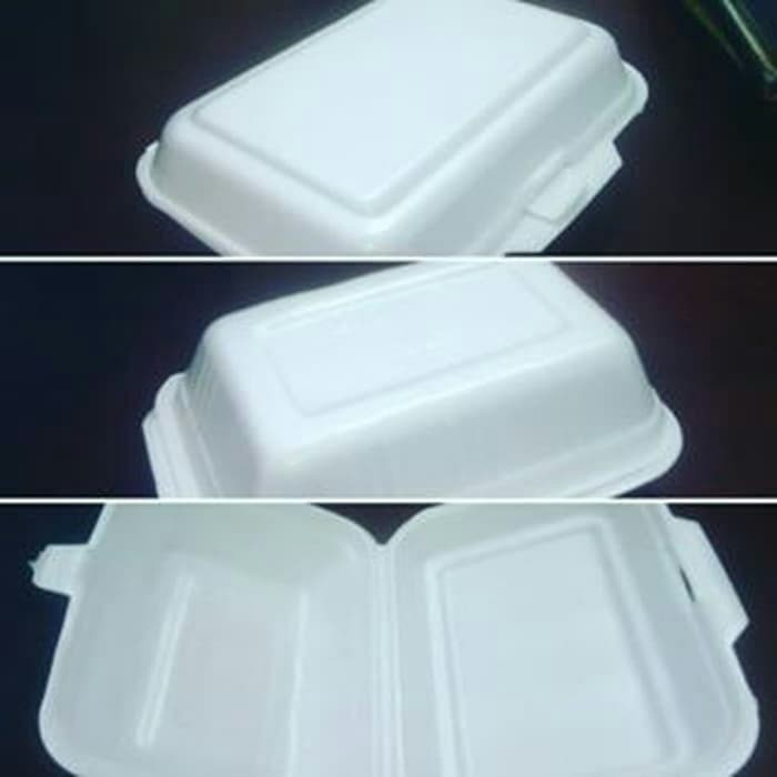 Detail Harga Styrofoam Makanan Kecil Nomer 27