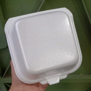 Detail Harga Styrofoam Makanan Kecil Nomer 54