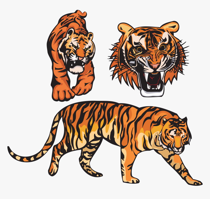 Detail Harimau Cartoon Nomer 29