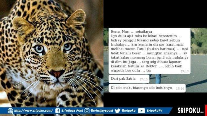 Detail Harimau Dan Macan Tutul Nomer 37