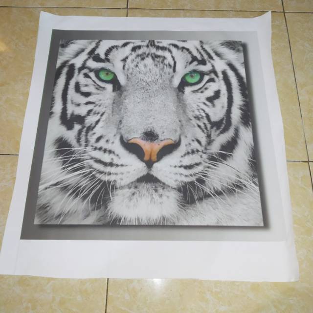 Detail Harimau Hitam Putih Nomer 22