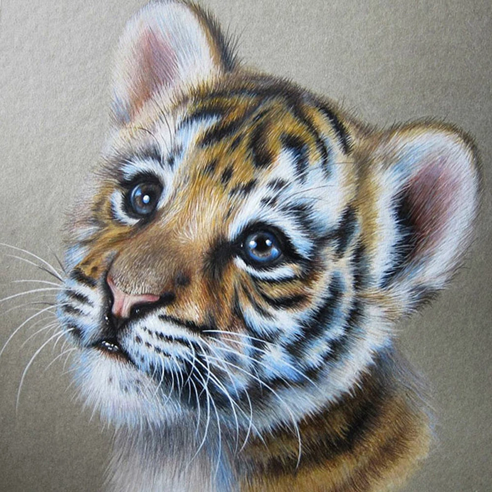 Detail Harimau Kecil Lucu Nomer 21