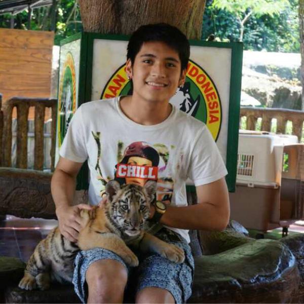 Detail Harimau Kecil Lucu Nomer 31