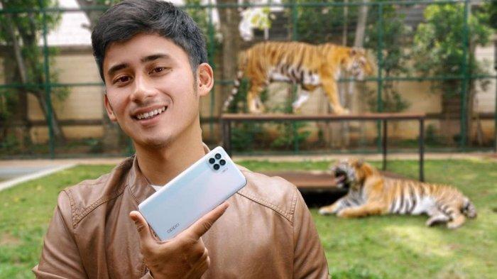 Detail Harimau Kecil Lucu Nomer 37