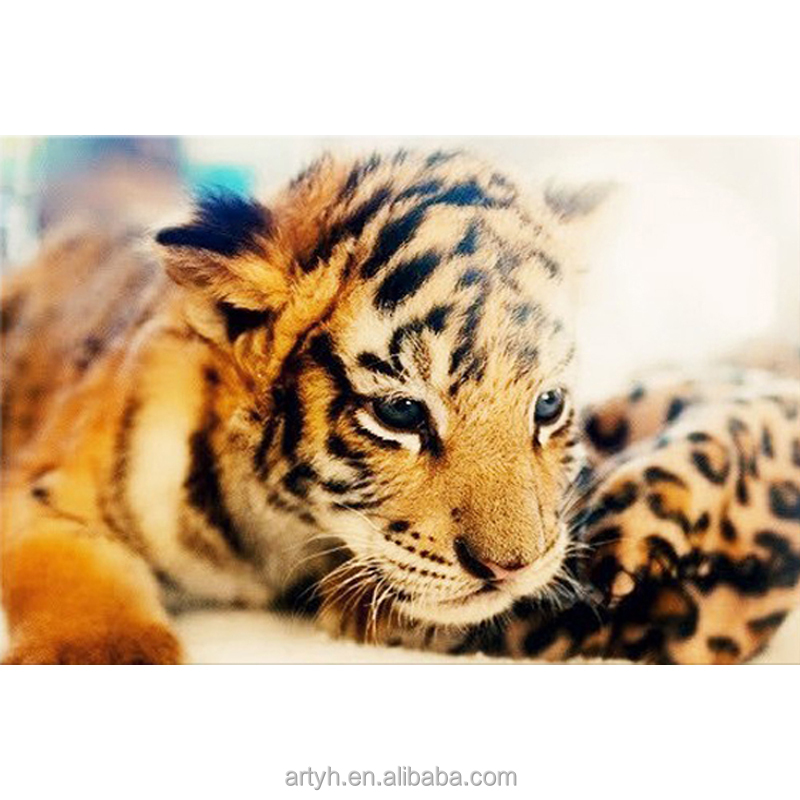 Detail Harimau Kecil Lucu Nomer 44