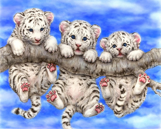 Detail Harimau Kecil Lucu Nomer 9