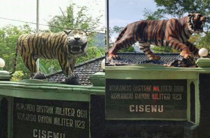 Detail Harimau Lucu Dan Imut Nomer 33