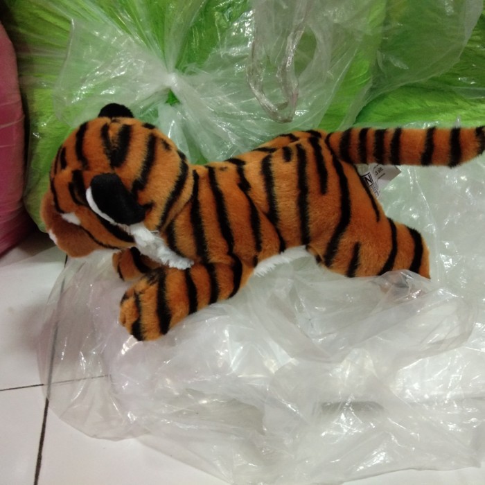 Detail Harimau Lucu Dan Imut Nomer 44