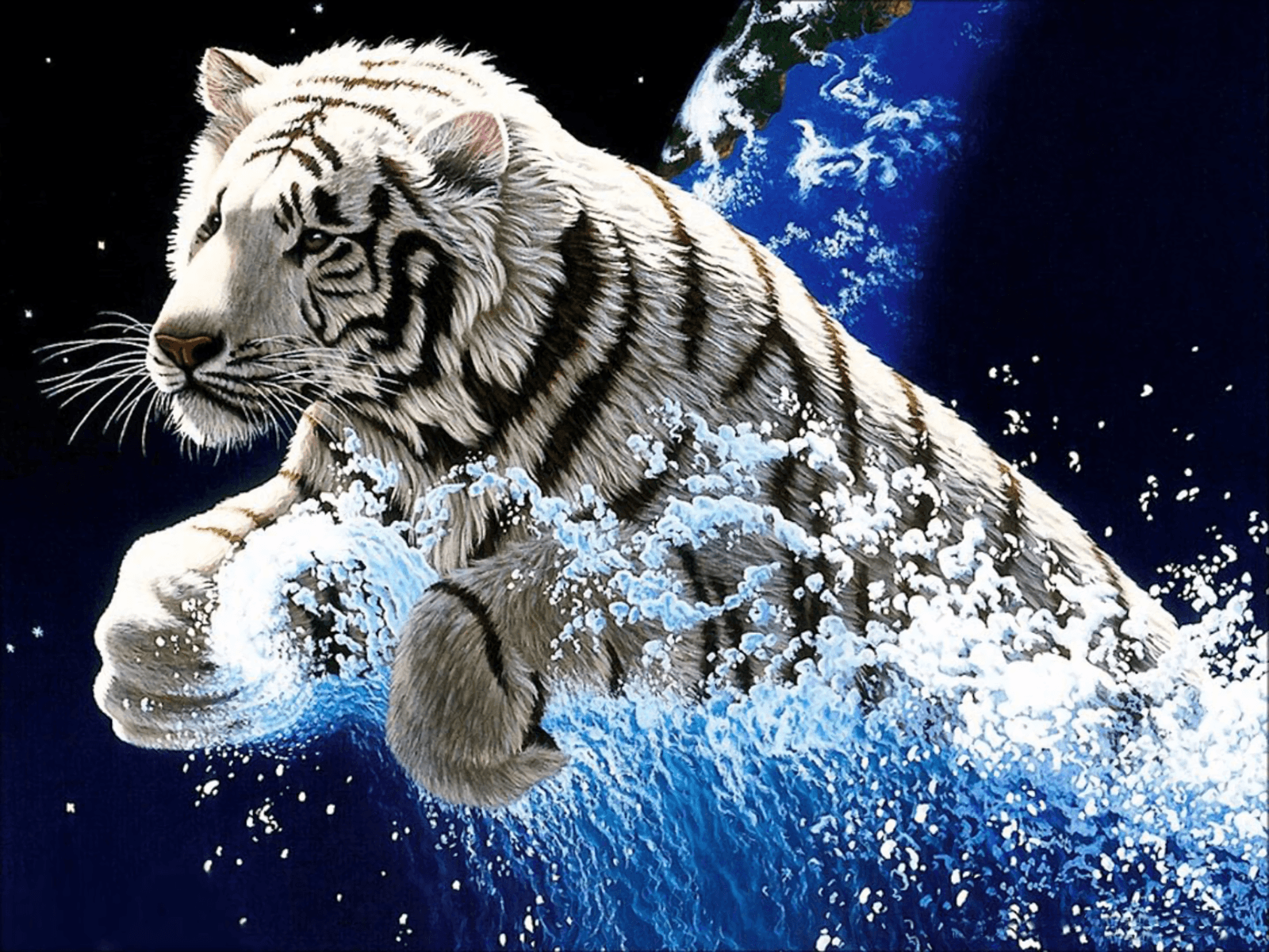 Detail Harimau Putih Marah Nomer 42