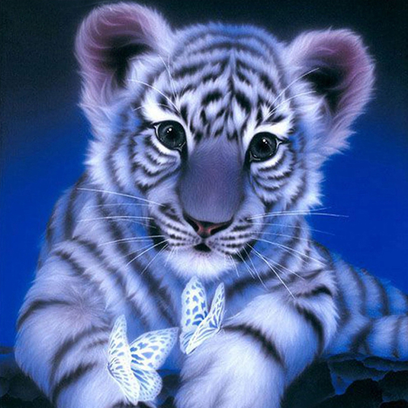 Detail Harimau Putih Wallpaper Nomer 16
