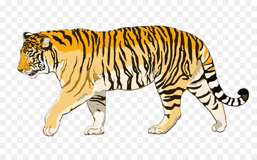 Detail Harimau Sumatera Png Nomer 11