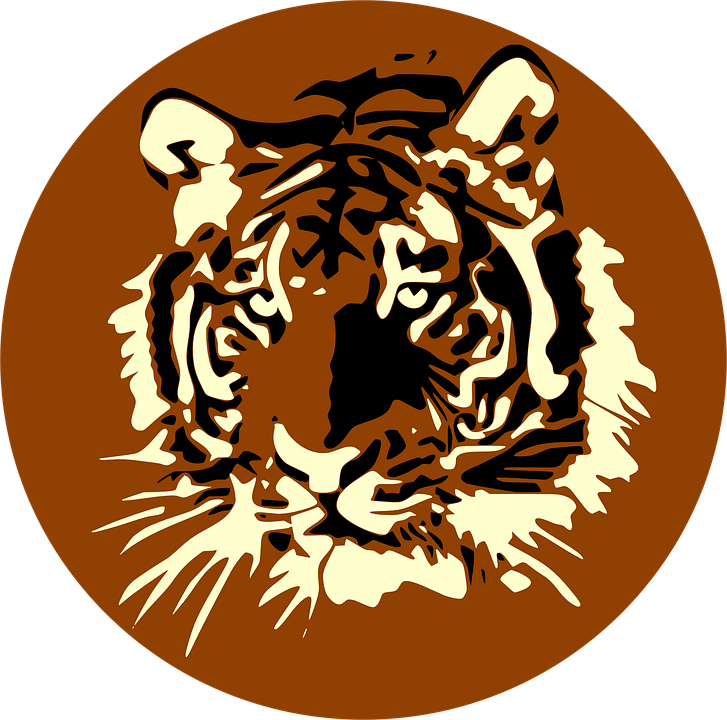 Detail Harimau Sumatera Png Nomer 28