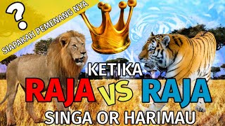 Detail Harimau Vs Singa Wallpaper Nomer 37