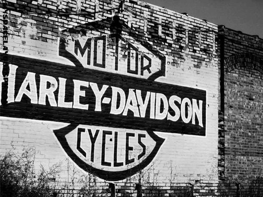 Detail Harley Davidson Background Images Nomer 37