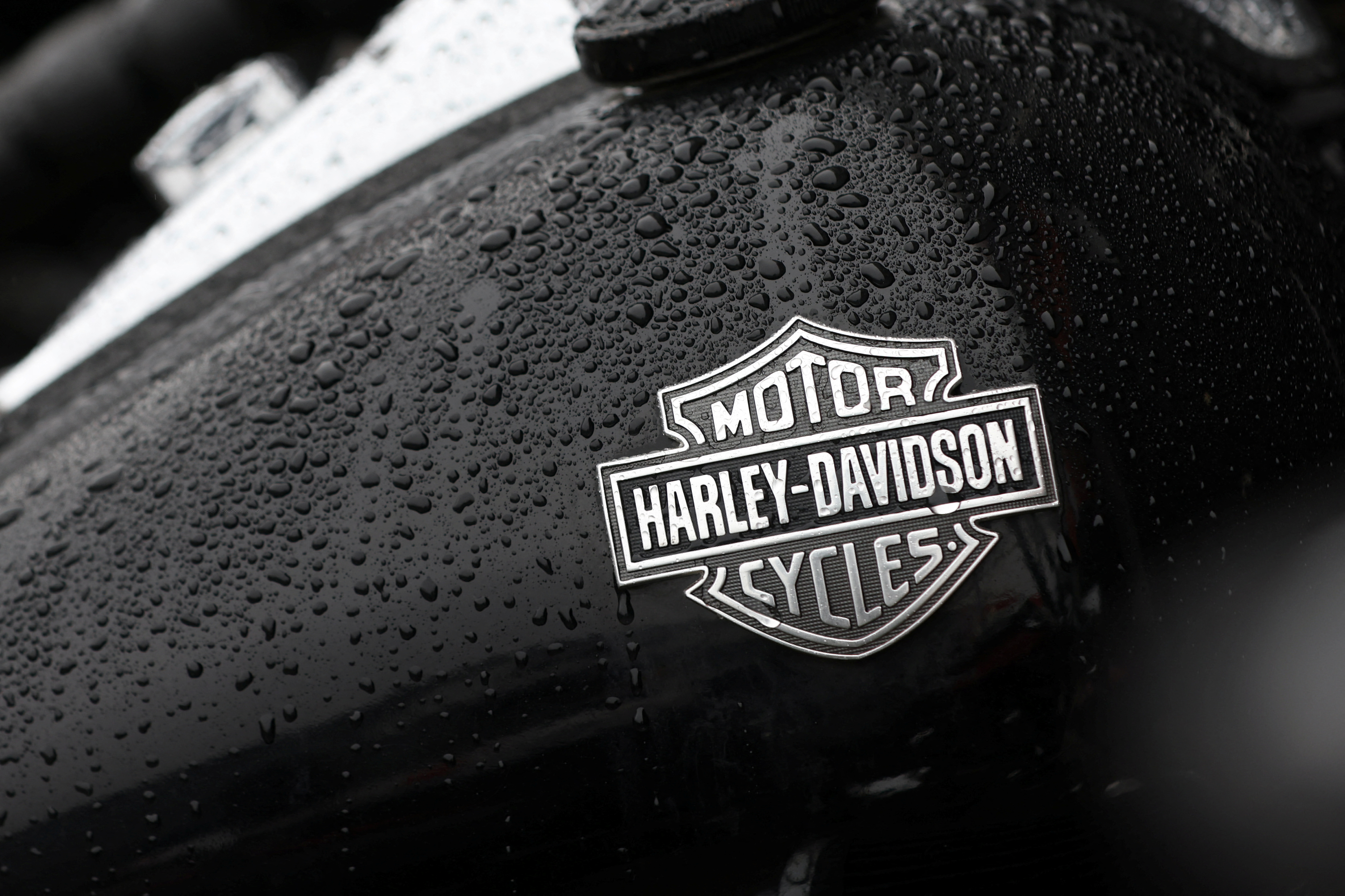 Detail Harley Davidson Bike Logo Nomer 28