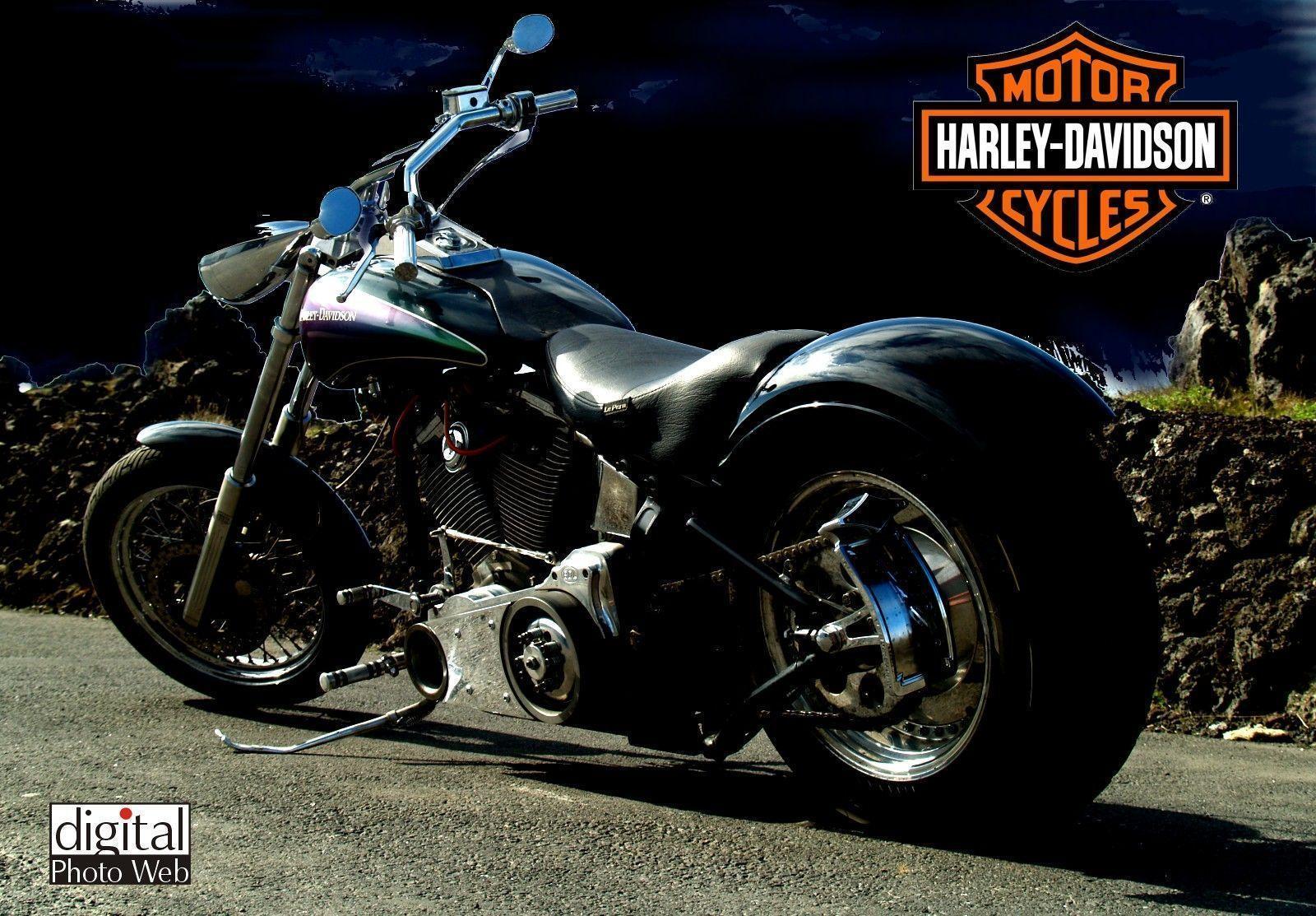 Detail Harley Davidson Desktop Backgrounds Nomer 32