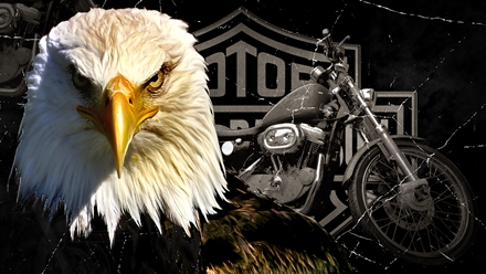 Detail Harley Davidson Desktop Backgrounds Nomer 42