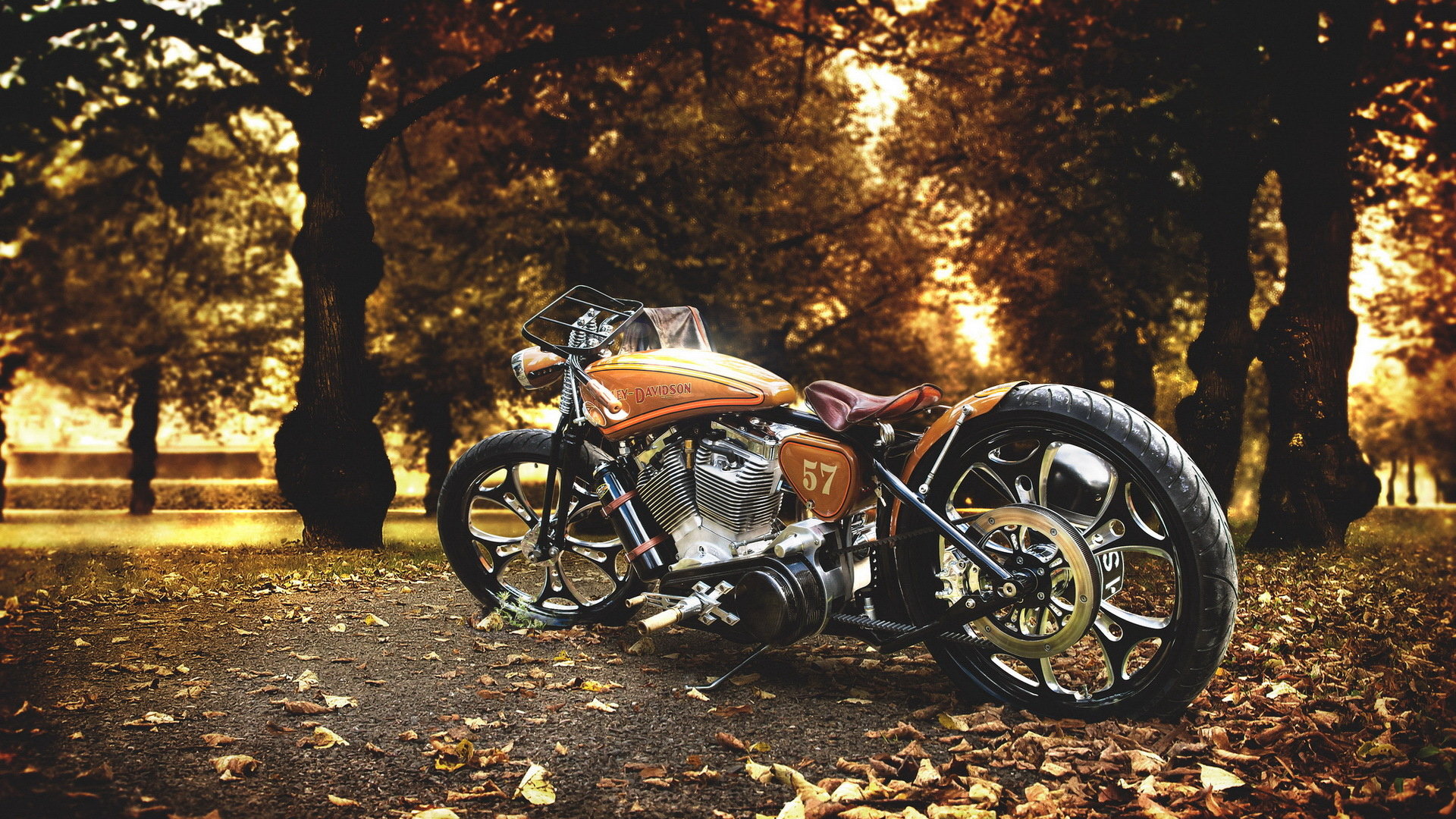 Detail Harley Davidson Desktop Backgrounds Nomer 47