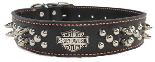 Detail Harley Davidson Dog Collar Ebay Nomer 13