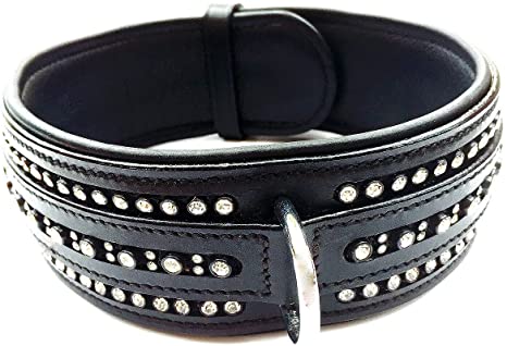 Detail Harley Davidson Dog Collar Ebay Nomer 31