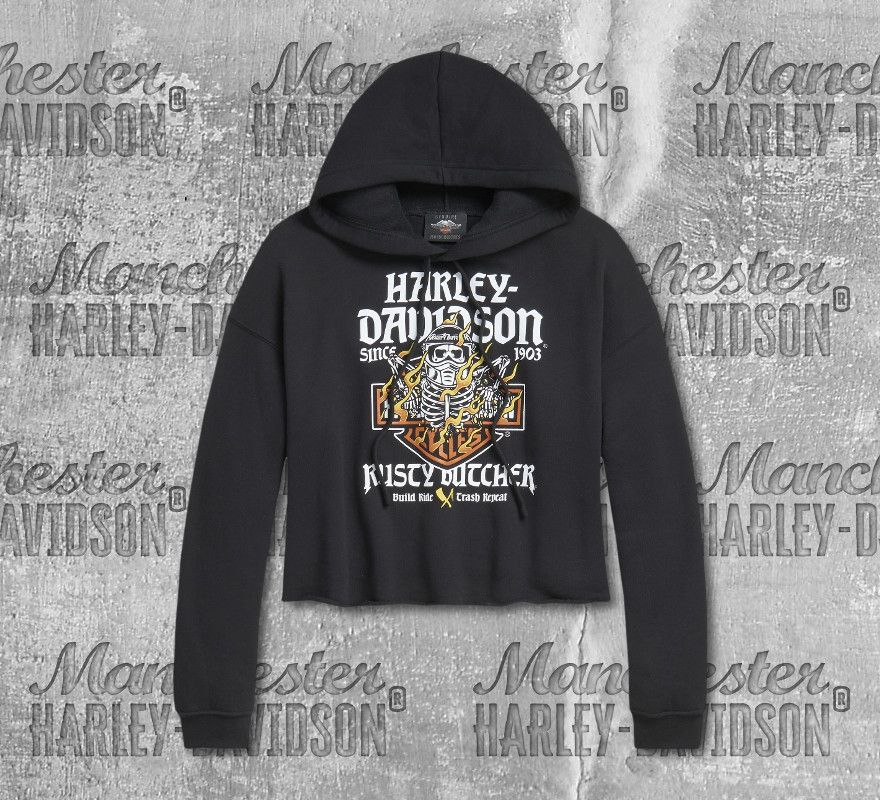 Detail Harley Davidson Flame Hoodie Nomer 32