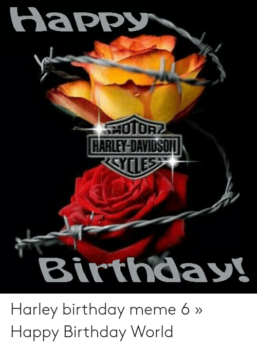 Detail Harley Davidson Happy Birthday Memes Nomer 40