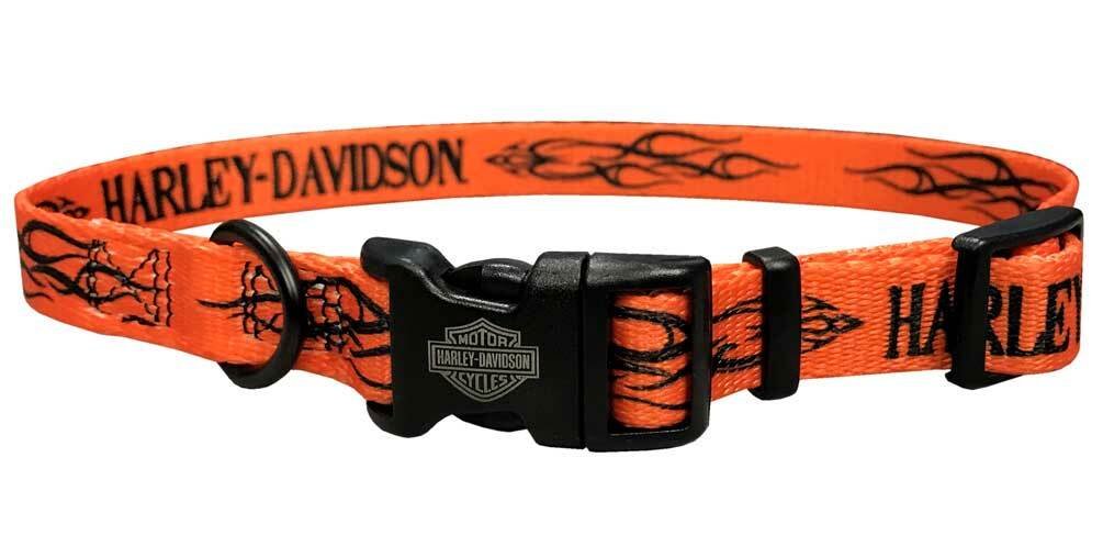 Detail Harley Davidson Leather Dog Collar Nomer 27