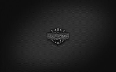 Detail Harley Davidson Logo Background Nomer 30