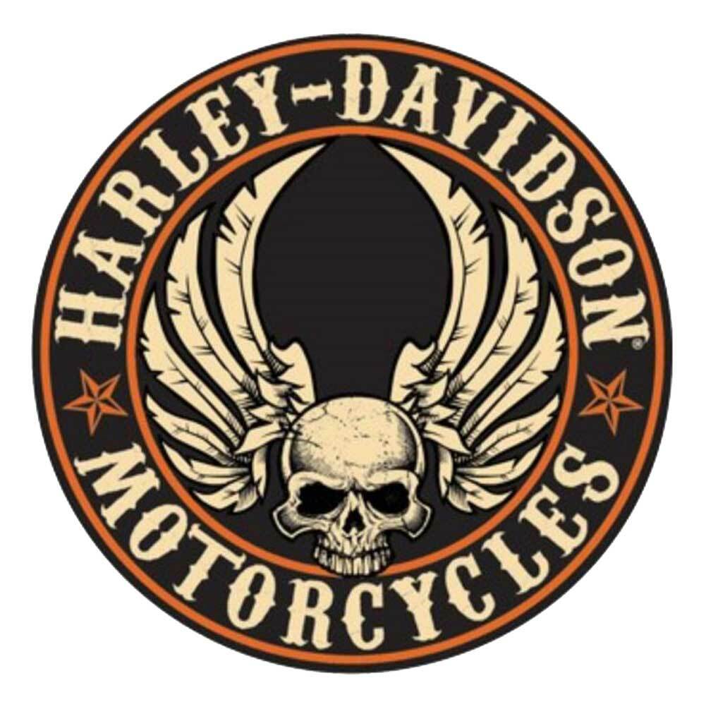 Detail Harley Davidson Logo Skull Nomer 23