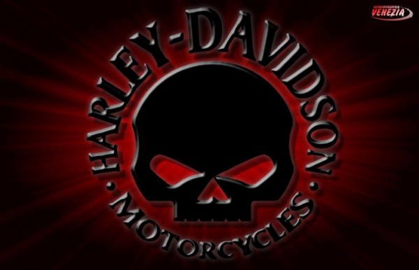 Detail Harley Davidson Logo Skull Nomer 46