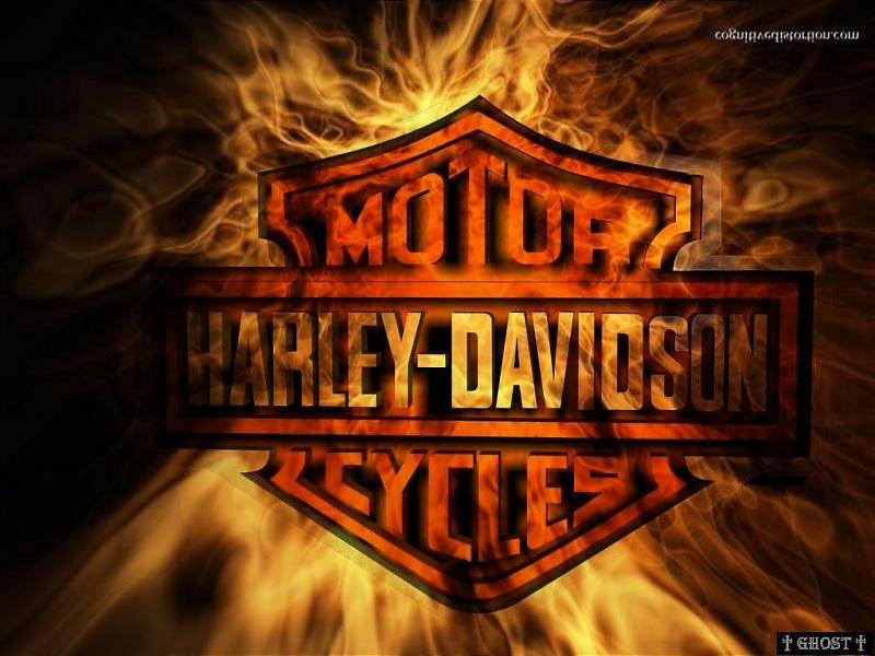 Detail Harley Davidson Logo Wallpaper Nomer 42