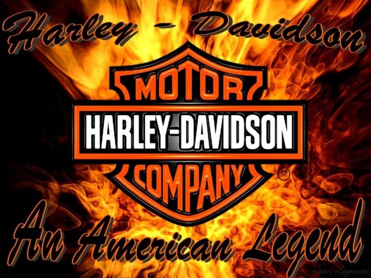 Detail Harley Davidson Motorcycles Wallpaper Border Nomer 22