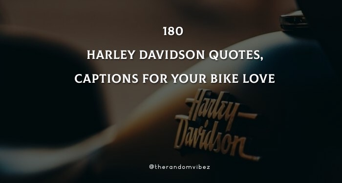 Detail Harley Davidson Quotes Nomer 41