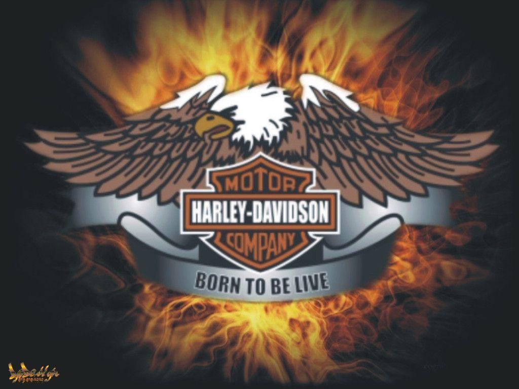 Harley Davidson Screensavers Free Downloads - KibrisPDR