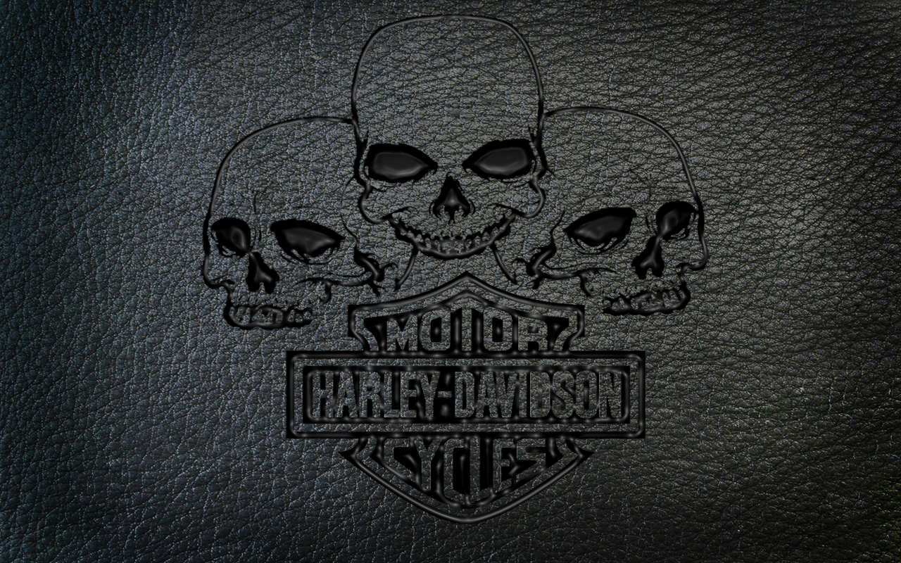 Detail Harley Davidson Skull Wallpaper Nomer 13