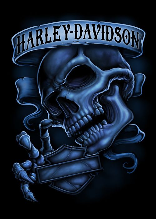 Detail Harley Davidson Skull Wallpaper Nomer 24