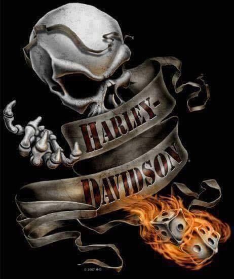 Detail Harley Davidson Skull Wallpaper Nomer 47