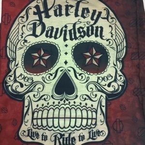 Detail Harley Davidson Sugar Skull Nomer 21