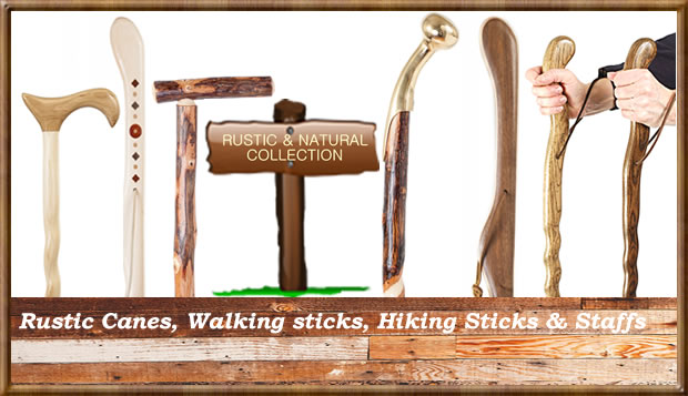 Detail Harley Davidson Walking Cane Nomer 28
