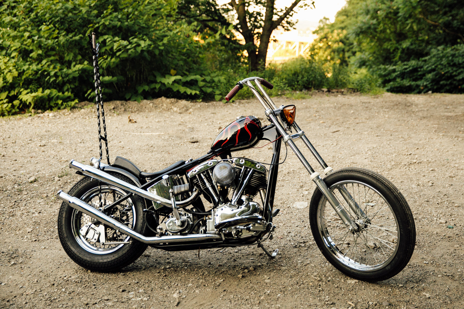 Detail Harley Davidson Walking Cane Nomer 48