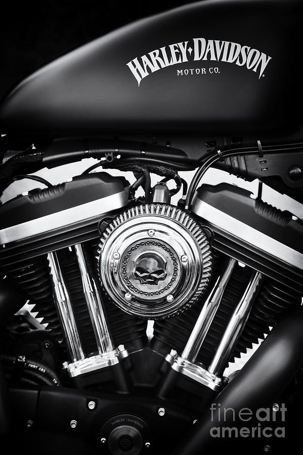Detail Harley Davidson Wallpaper Hd Nomer 50