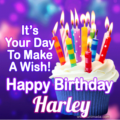 Detail Harley Happy Birthday Images Nomer 38