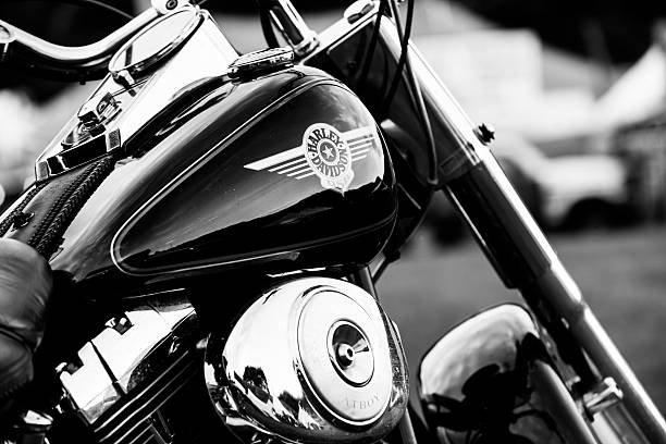 Detail Harley Images Free Nomer 8