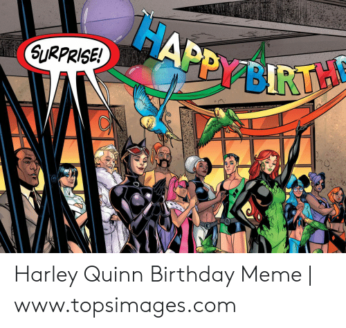 Detail Harley Quinn Birthday Memes Nomer 19