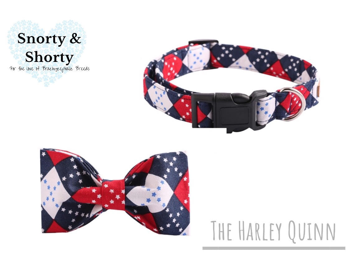 Detail Harley Quinn Cat Collar Nomer 13