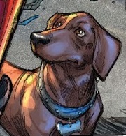 Detail Harley Quinn Dachshund Nomer 3