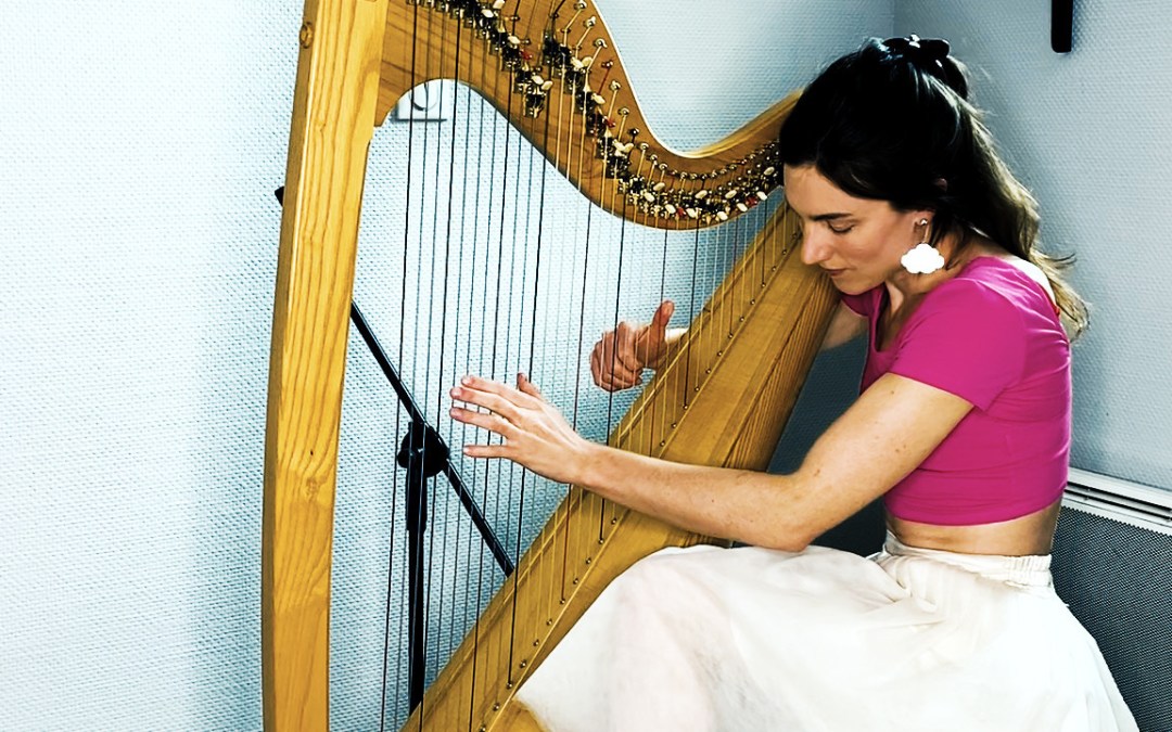 Detail Harp Image Nomer 13