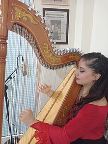 Detail Harp Image Nomer 23