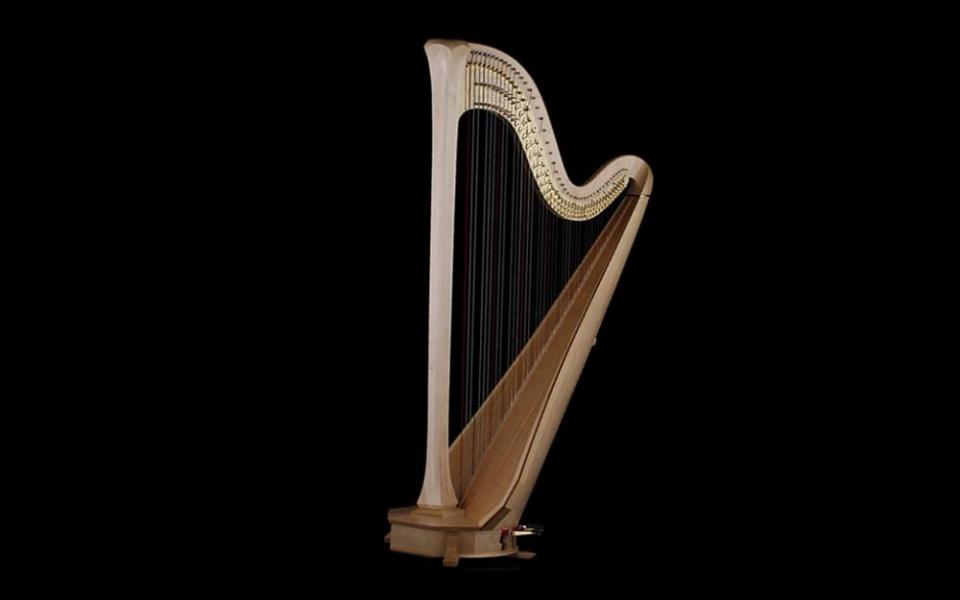 Detail Harp Image Nomer 3